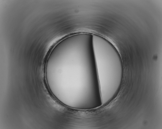 X0000090930987200707301111