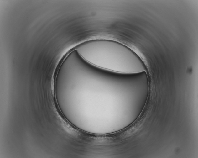 X0000090930988200707301111