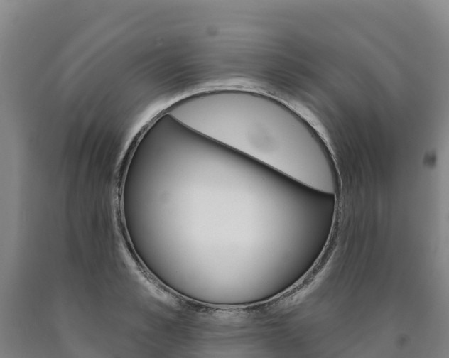 X0000090930989200707301111