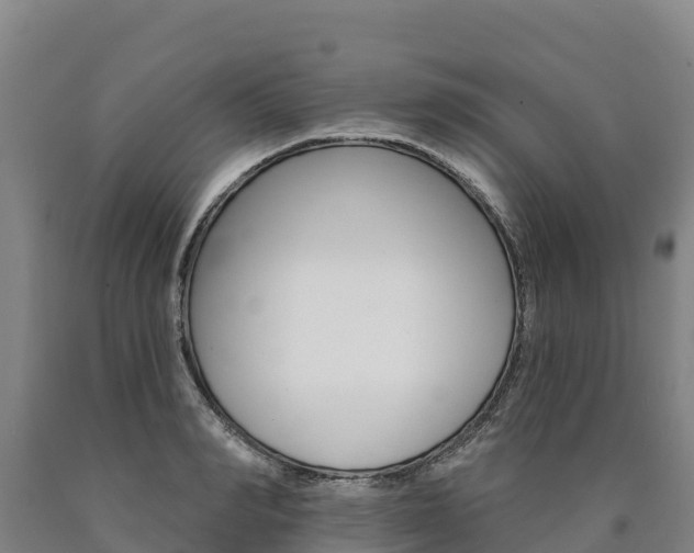 X0000090930990200707301111