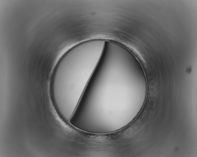 X0000090930991200707301111