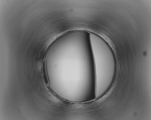X0000090930993200707301111