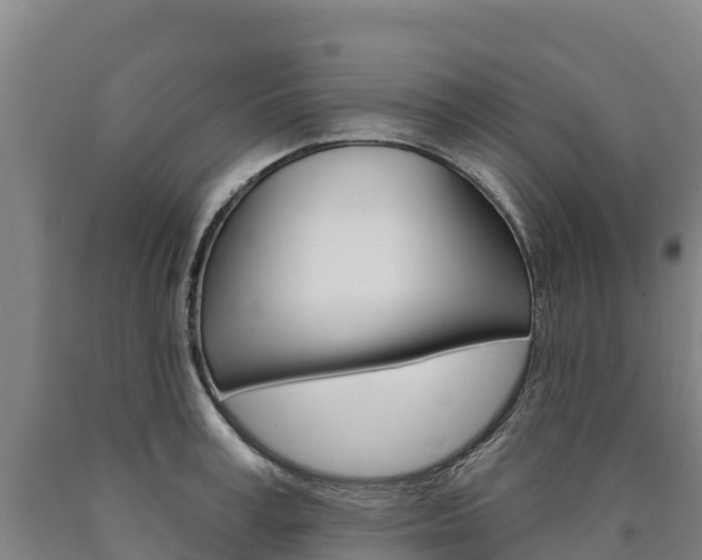 X0000090930995200707301111