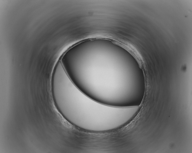 X0000090930996200707301111