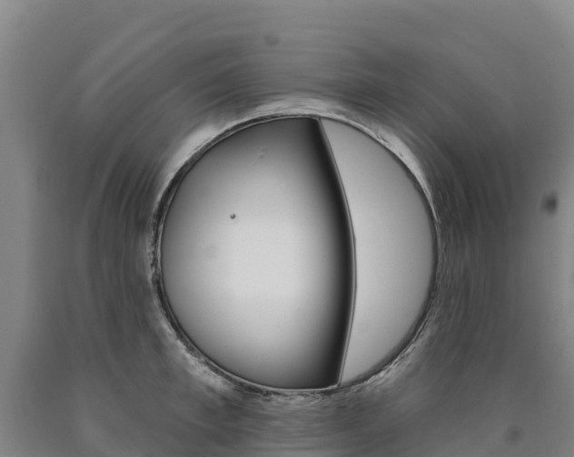 X0000090930997200707301111