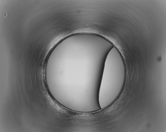 X0000090930998200707301111