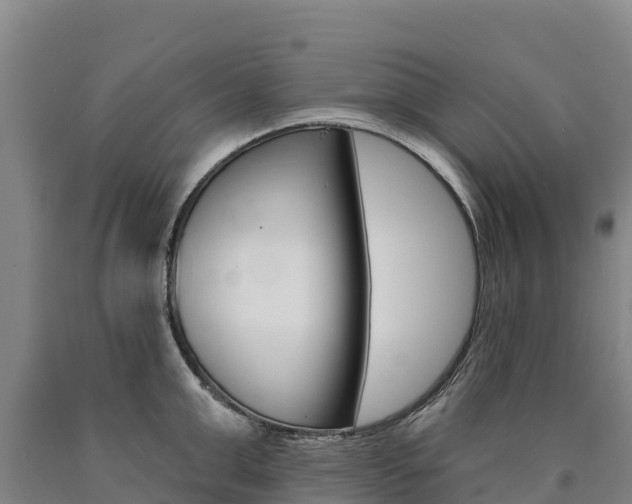 X0000090930999200707301111