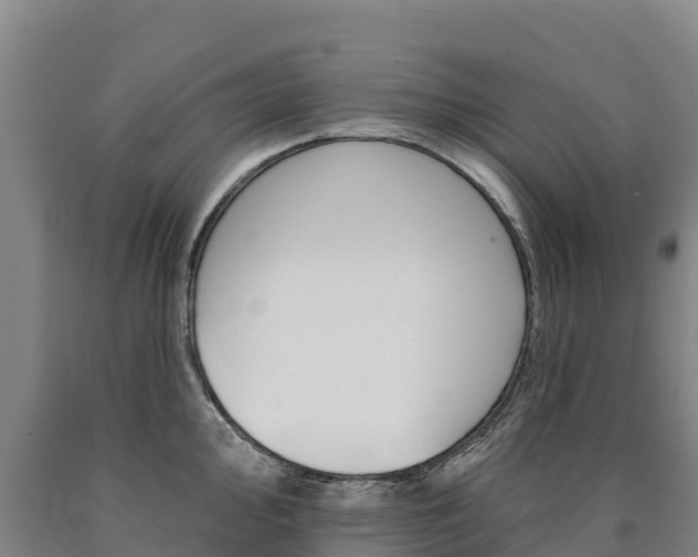 X0000090931000200707301111