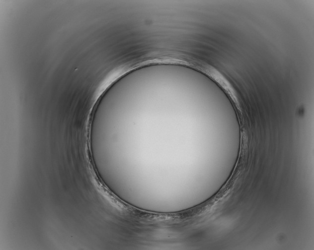 X0000090931002200707301111