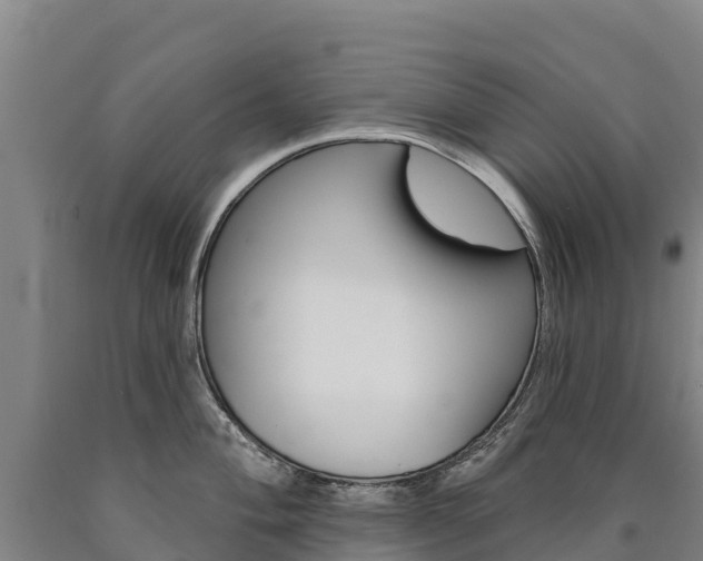 X0000090931004200707301111
