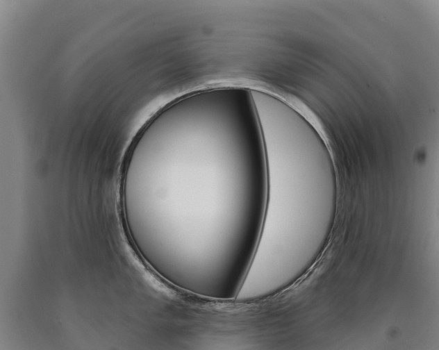 X0000090931005200707301111