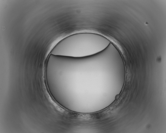 X0000090931006200707301111