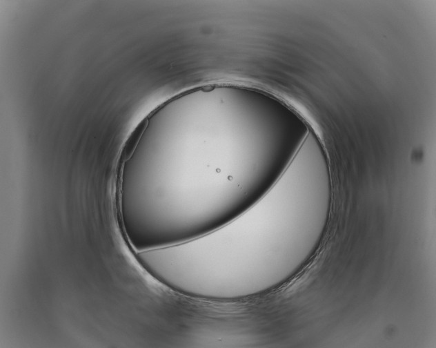 X0000090931007200707301111