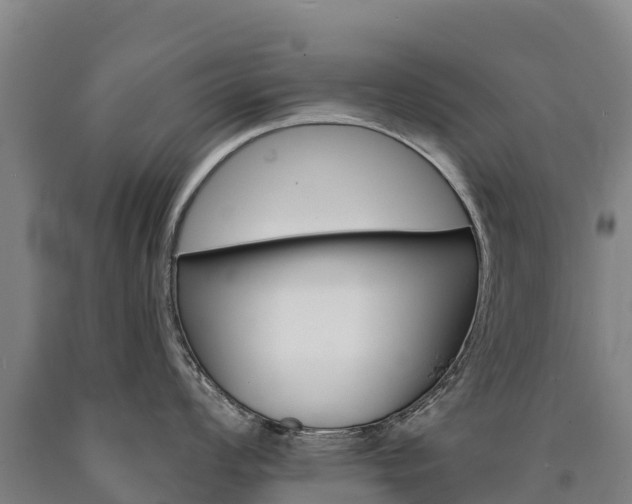 X0000090931008200707301111