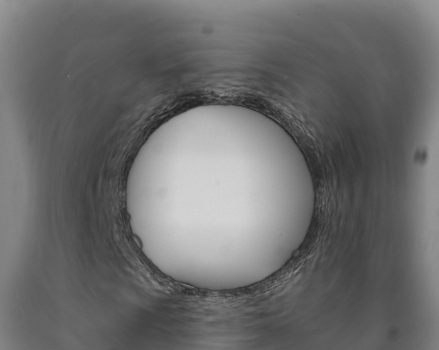 X0000090931009200707301110