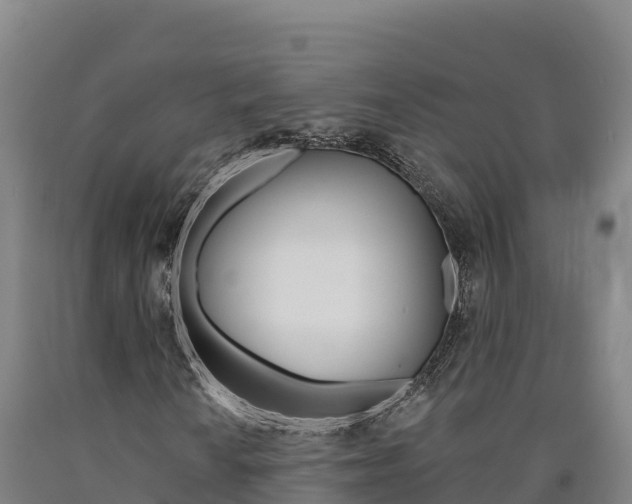X0000090931010200707301110