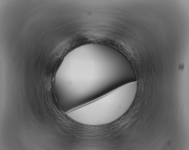 X0000090931012200707301110