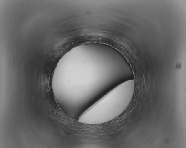 X0000090931013200707301110