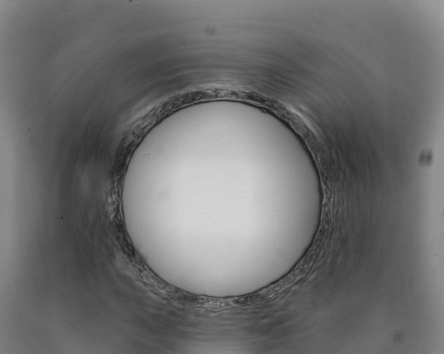 X0000090931015200707301110