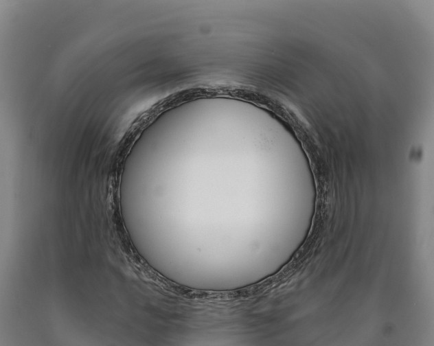 X0000090931016200707301110