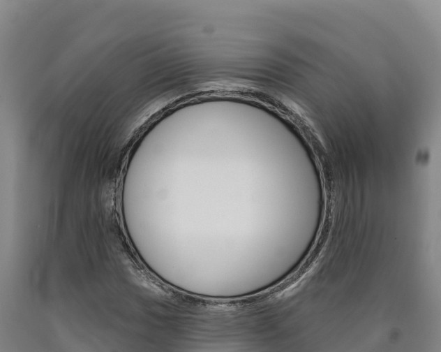 X0000090931017200707301110