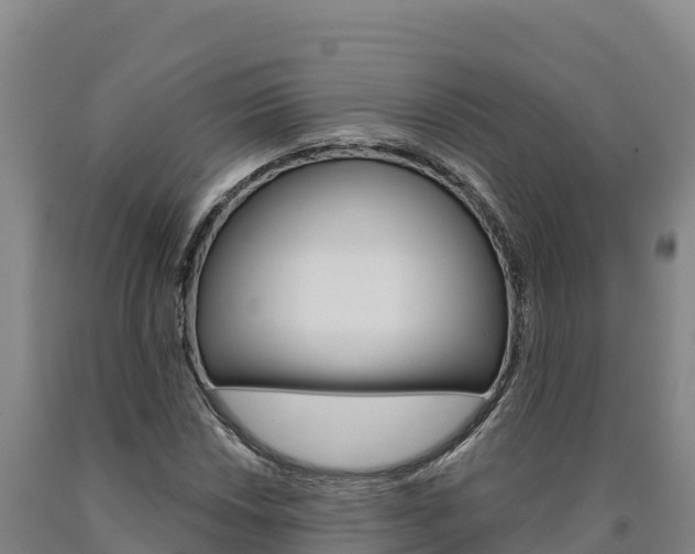 X0000090931018200707301110