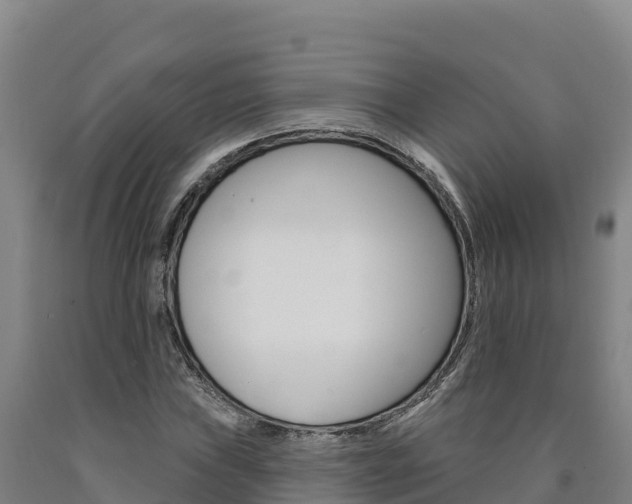 X0000090931019200707301110