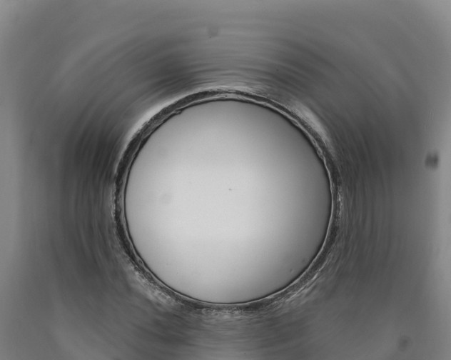 X0000090931020200707301110