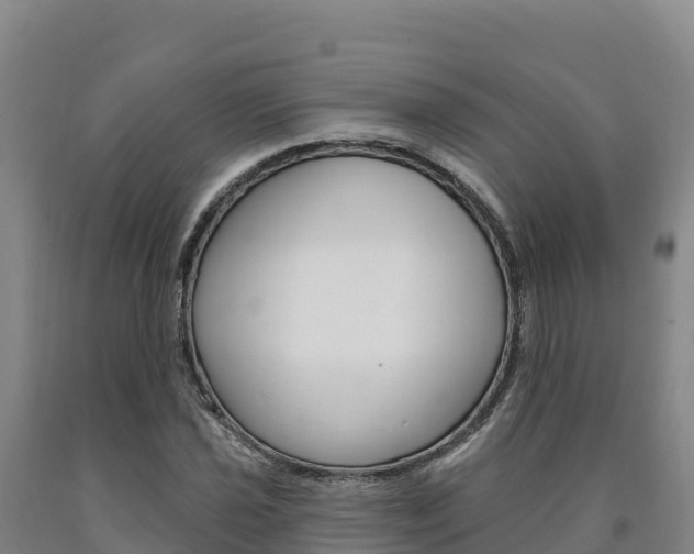 X0000090931021200707301110