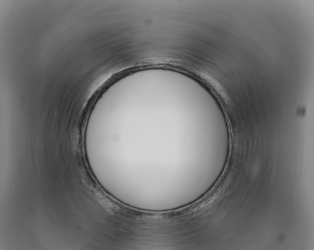 X0000090931023200707301110