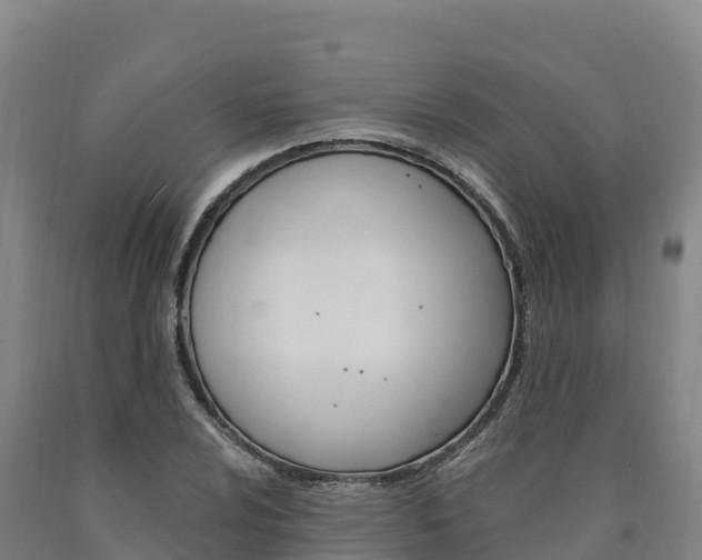 X0000090931024200707301110