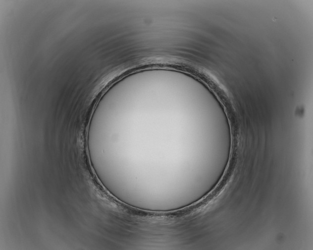 X0000090931025200707301110