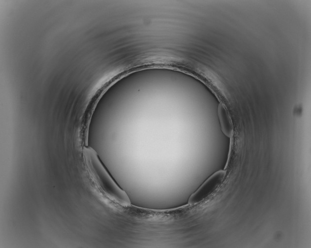 X0000090931026200707301110