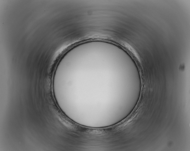 X0000090931027200707301110