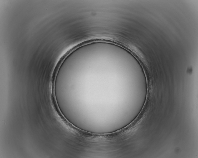 X0000090931028200707301110