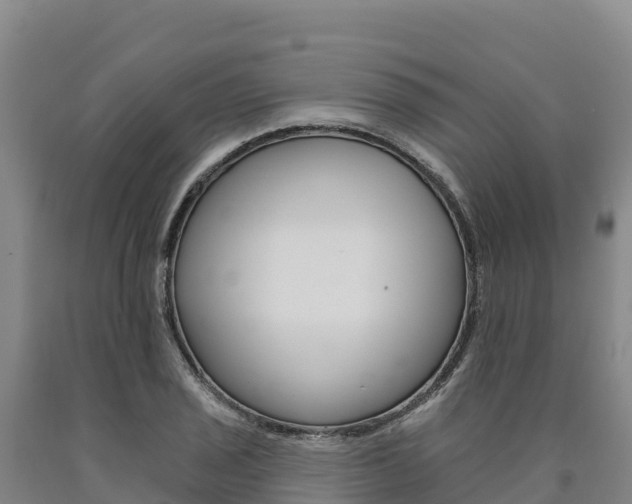 X0000090931029200707301110