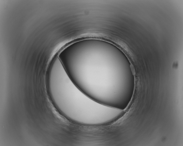 X0000090931030200707301110