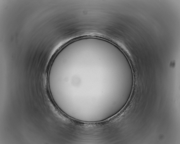 X0000090931032200707301110