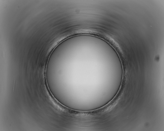 X0000090931033200707301110