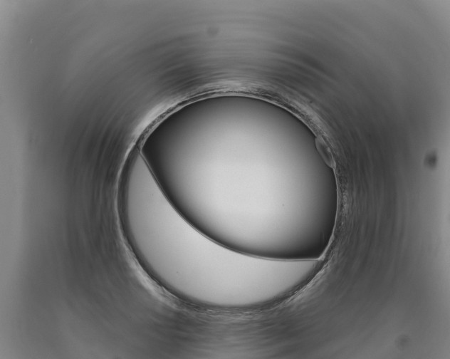 X0000090931034200707301110