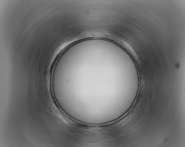 X0000090931035200707301110