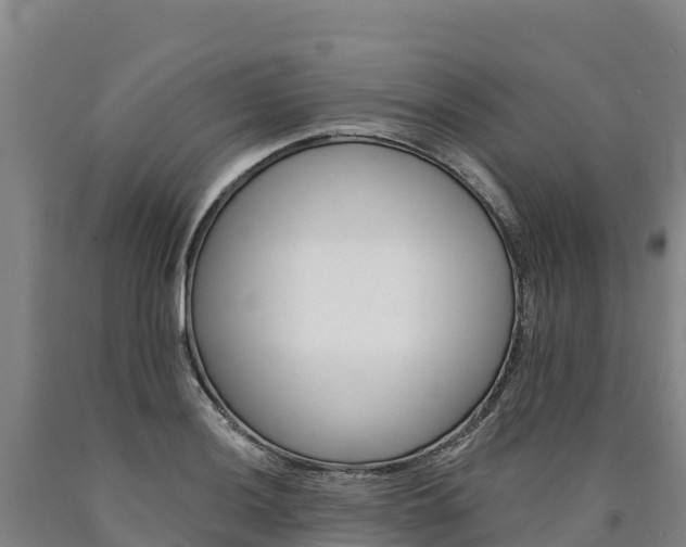 X0000090931036200707301110