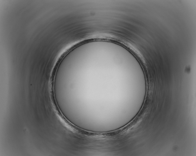 X0000090931037200707301110