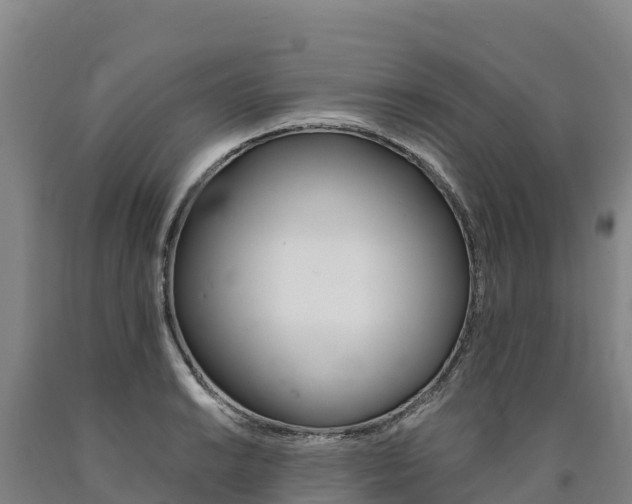 X0000090931038200707301110