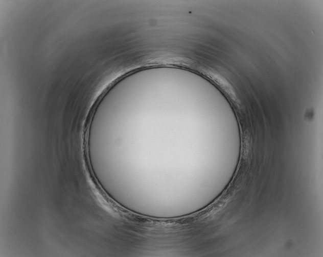 X0000090931039200707301110