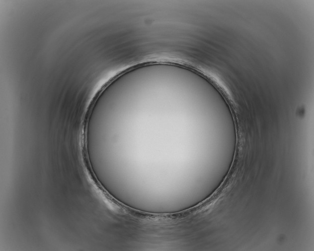 X0000090931040200707301110