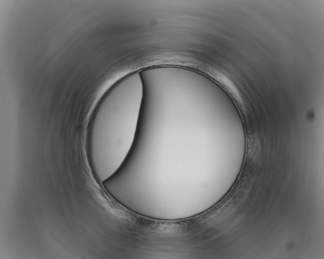X0000090931043200707301110
