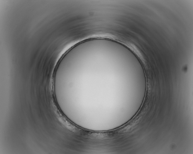 X0000090931044200707301110