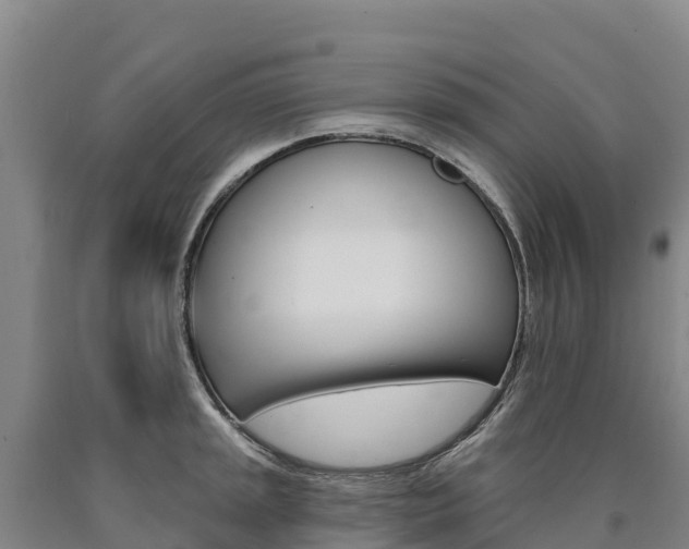 X0000090931045200707301111
