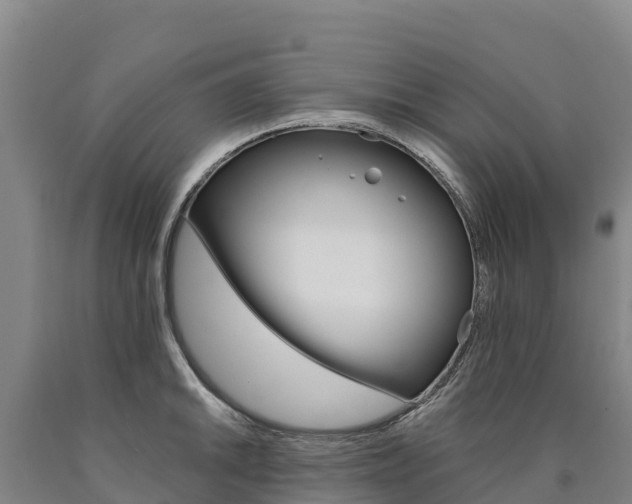 X0000090931046200707301111